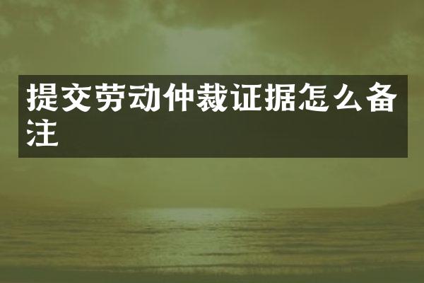 提交劳动仲裁证据怎么备注