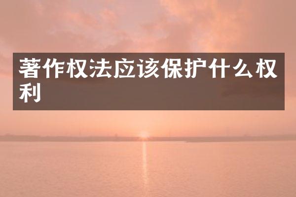 著作权法应该保护什么权利