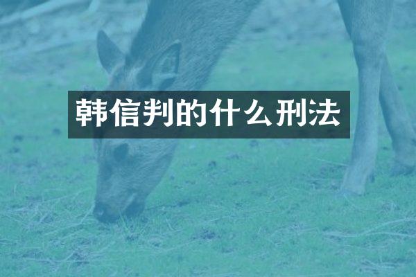 韩信判的什么刑法