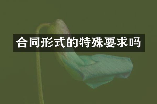 合同形式的特殊要求吗