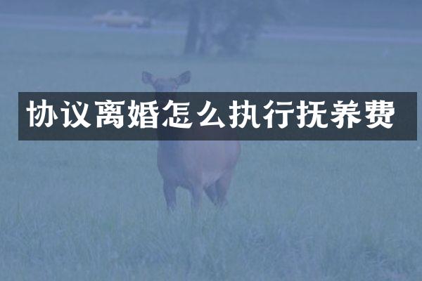 协议离婚怎么执行抚养费
