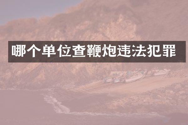 哪个单位查违法犯罪