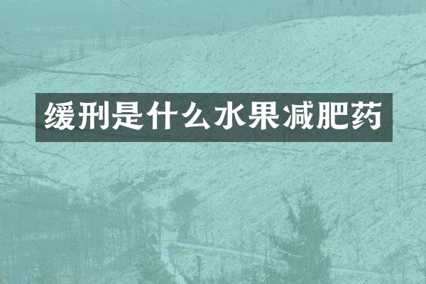 缓刑是什么水果减肥药