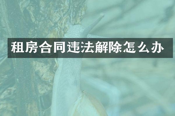 租房合同违法解除怎么办
