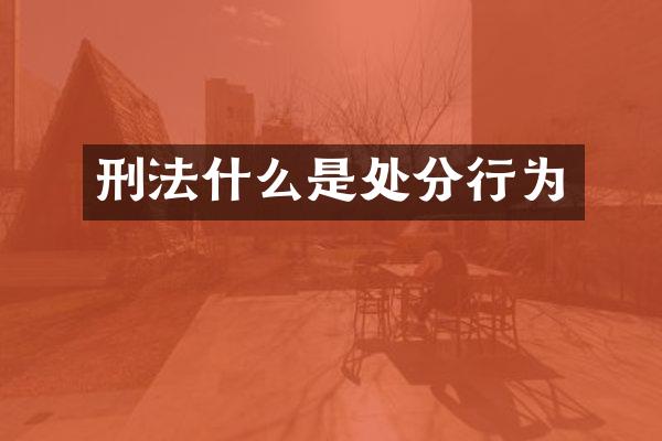 刑法什么是处分行为