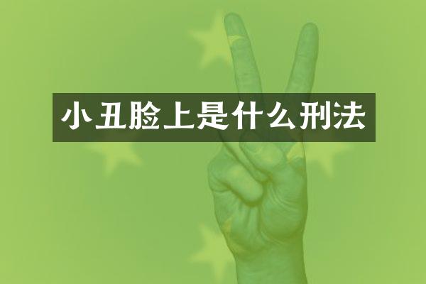 小丑脸上是什么刑法