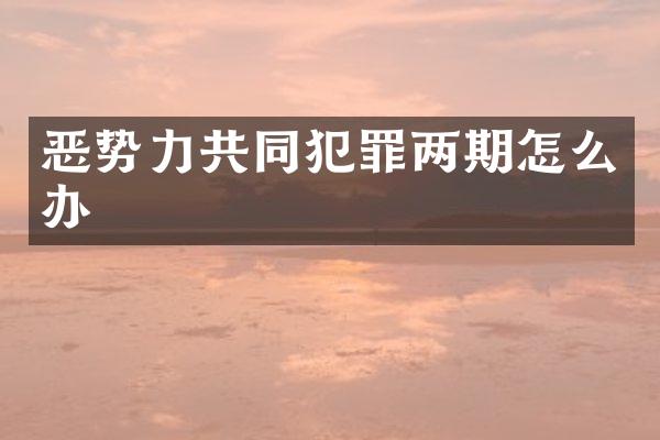 恶势力共同犯罪两期怎么办