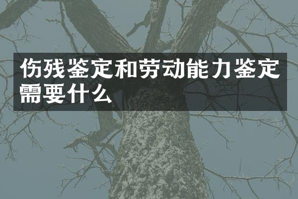 伤残鉴定和劳动能力鉴定需要什么