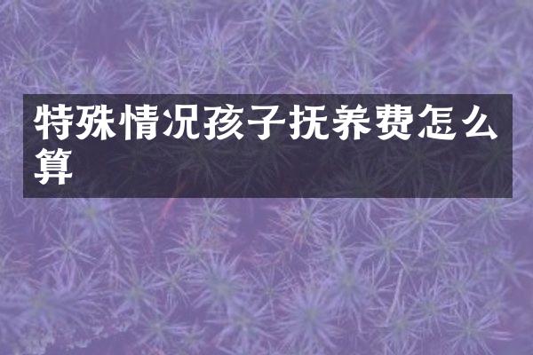 特殊情况孩子抚养费怎么算