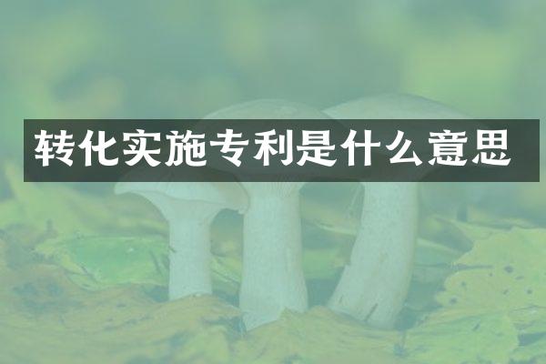 转化实施专利是什么意思