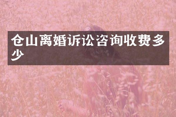 仓山离婚诉讼咨询收费多少
