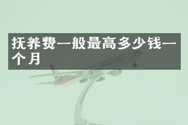 抚养费一般最高多少钱一个月