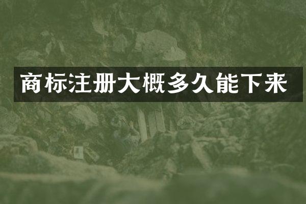 商标注册大概多久能下来