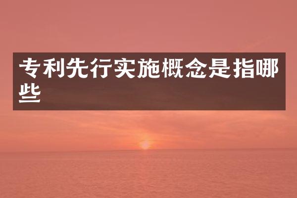 专利先行实施概念是指哪些
