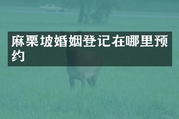 麻栗坡婚姻登记在哪里预约