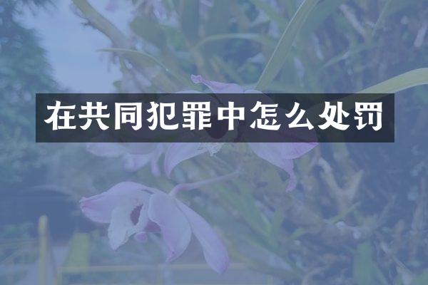 在共同犯罪中怎么处罚
