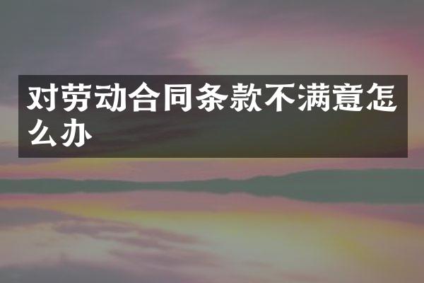 对劳动合同条款不满意怎么办