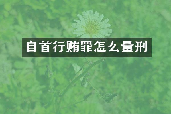 自首行贿罪怎么量刑