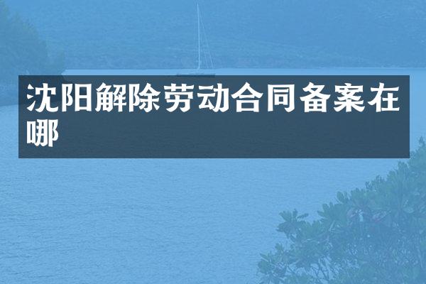 沈阳解除劳动合同备案在哪