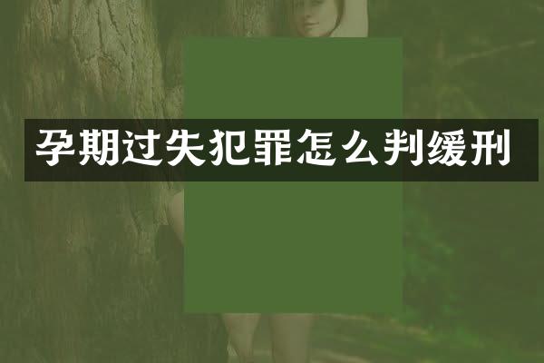 孕期过失犯罪怎么判缓刑