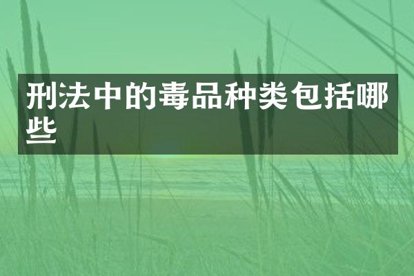 刑法中的种类包括哪些