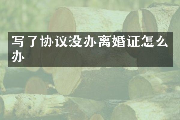 写了协议没办怎么办