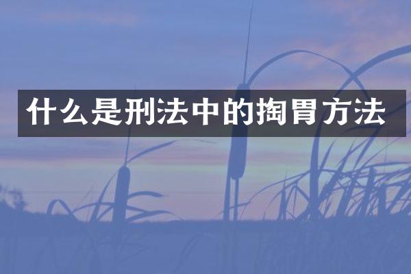 什么是刑法中的掏胃方法