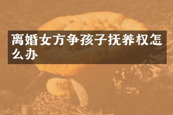离婚女方争孩子抚养权怎么办