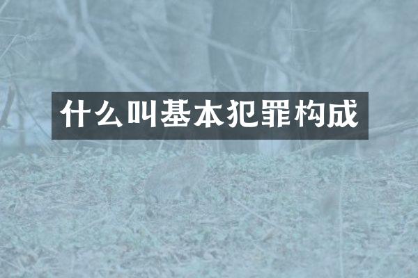 什么叫基本犯罪构成