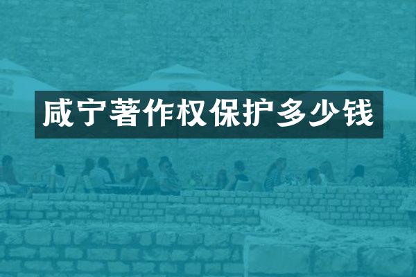 咸宁著作权保护多少钱