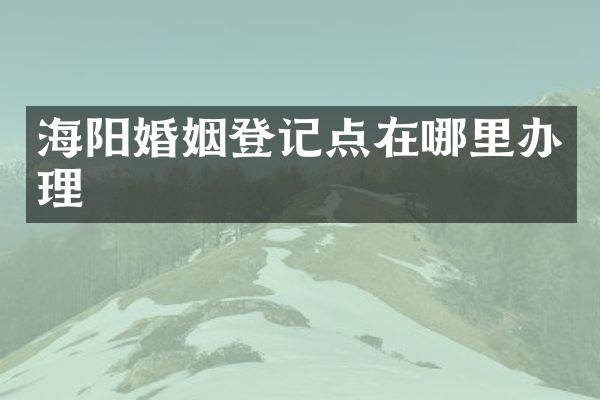 海阳婚姻登记点在哪里办理