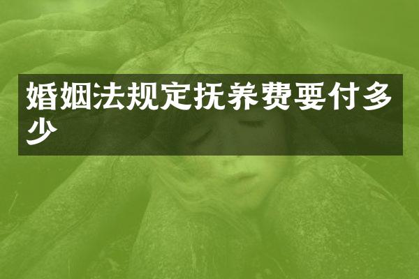 婚姻法规定抚养费要付多少