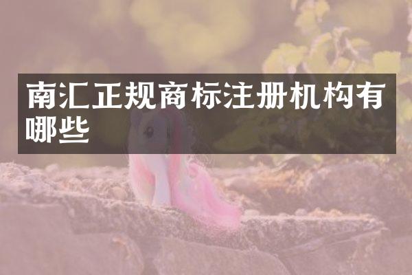 南汇正规商标注册机构有哪些