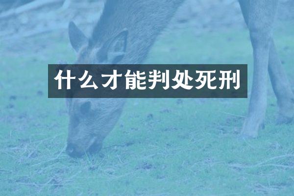 什么才能判处死刑