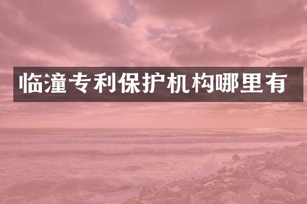 临潼专利保护机构哪里有