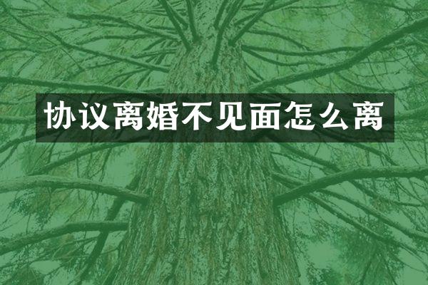 协议离婚不见面怎么离