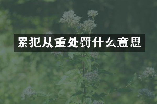 从重处罚什么意思