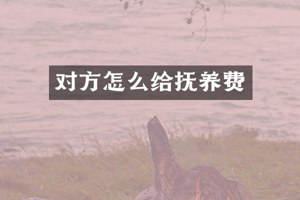 对方怎么给抚养费