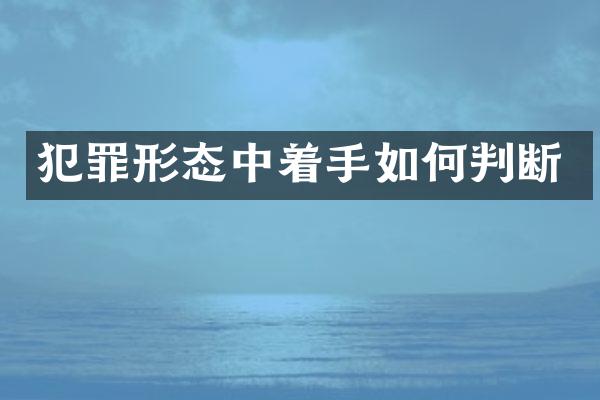犯罪形态中着手如何判断