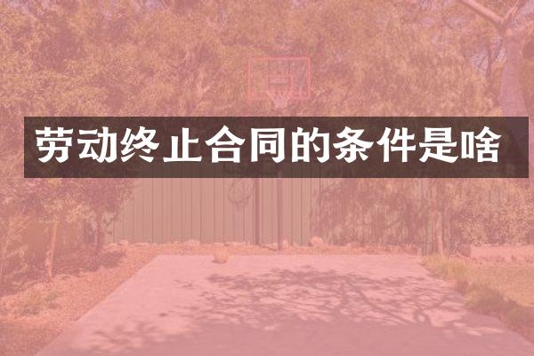 劳动终止合同的条件是啥