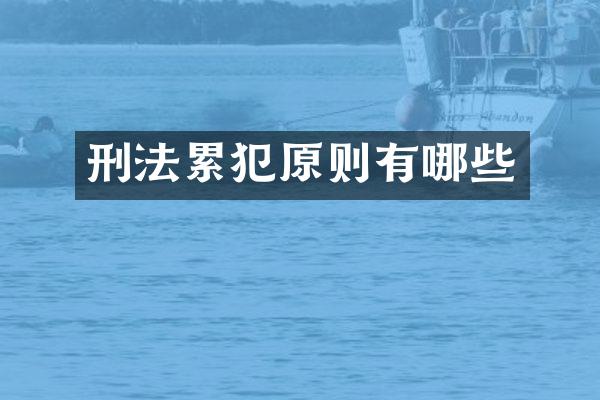 刑法原则有哪些