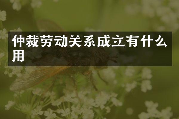 仲裁劳动关系成立有什么用