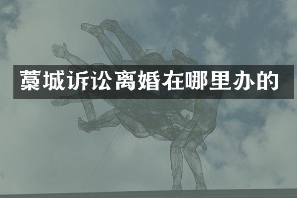 藁城诉讼离婚在哪里办的