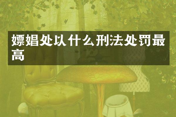 嫖娼处以什么刑法处罚最高