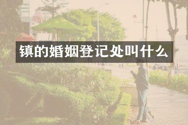 镇的婚姻登记处叫什么