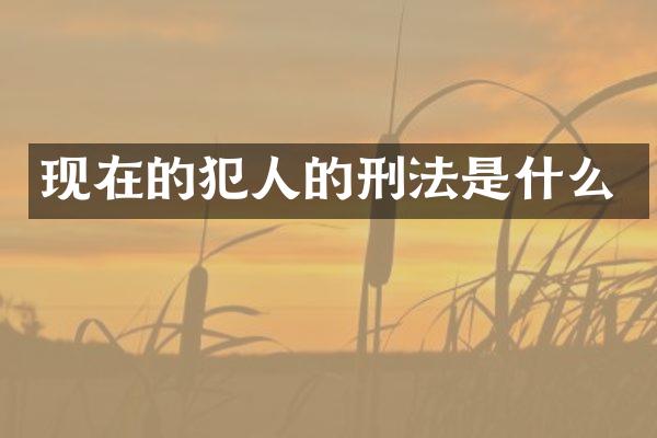 现在的犯人的刑法是什么
