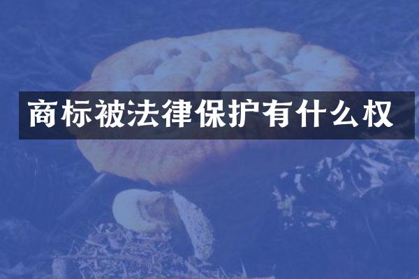 商标被法律保护有什么权