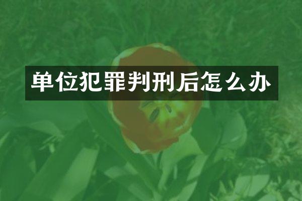 单位犯罪判刑后怎么办
