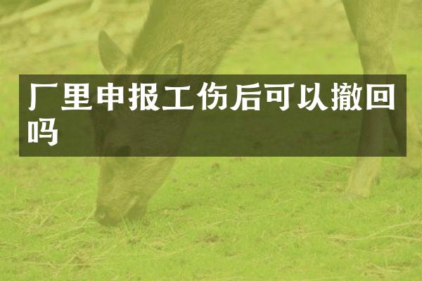 厂里申报工伤后可以撤回吗