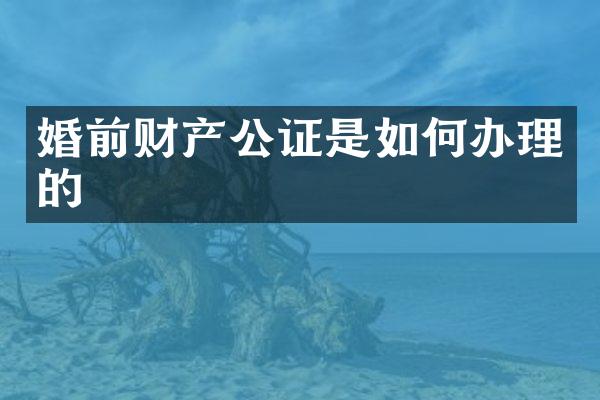 婚前财产公证是如何办理的